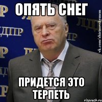 опять снег Придется это терпеть