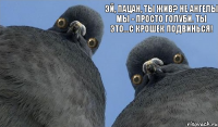 эй, пацан, ты жив? не ангелы мы - просто голуби. ты это...с крошек подвинься!