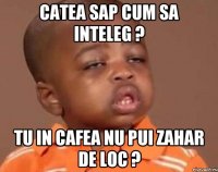 Catea sap cum sa inteleg ? tu in cafea nu pui zahar de loc ?