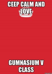 CEEP CALM AND LOVE Gumnasium V class