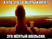 А что это за жёлтый круг? Это жёлтый апельсин.