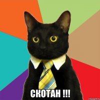  СКОТАН !!!
