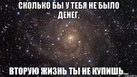 Сколько бы у тебя не было денег, вторую жизнь ты не купишь...