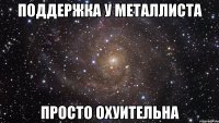 поддержка у металлиста просто охуительна