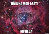 шишка мой брат! мудеза