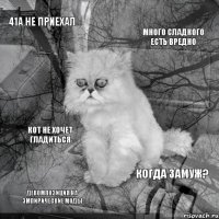 41а не приехал много сладкого есть вредно декомпозиция на эмпирические моды когда замуж? кот не хочет гладиться