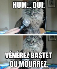 Hum... Oui. Vénérez Bastet ou mourrez.