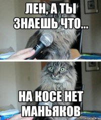 Лен, а ты знаешь что... на косе нет маньяков