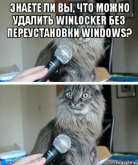 Знаете ли вы, что можно удалить winlocker без переустановки Windows? 