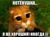 Котёнушка... я же хороший! иногда ))