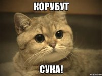 корубут СУКА!