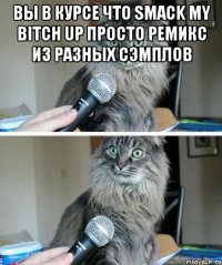 Вы в курсе что Smack My Bitch Up просто ремикс из разных сэмплов 