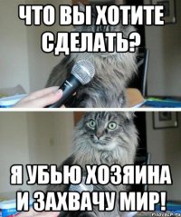 Что вы хотите сделать? Я убью хозяина и захвачу мир!