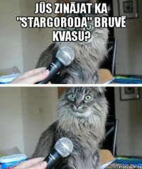 Jūs zinājat ka "Stargoroda" bruvē kvasu? 