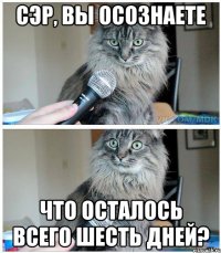 Сэр, вы осознаете что осталось всего шесть дней?