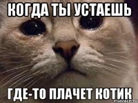 Когда ты устаешь Где-то плачет котик