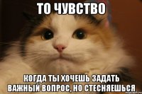 ТО ЧУВСТВО КОГДА ТЫ ХОЧЕШЬ ЗАДАТЬ ВАЖНЫЙ ВОПРОС, НО СТЕСНЯЕШЬСЯ