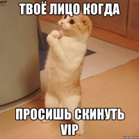 Твоё лицо когда просишь скинуть VIP