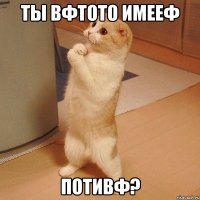 Ты Вфтото имееф Потивф?