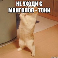 Не уходи с монголов - Тони 