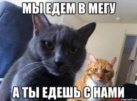 МЫ ЕДЕМ В МЕГУ А ТЫ ЕДЕШЬ С НАМИ