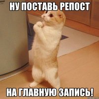 Ну поставь репост на главную запись!