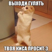 Выходи гулять Твоя киса просит:3