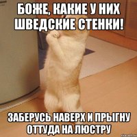 боже, какие у них шведские стенки! заберусь наверх и прыгну оттуда на люстру