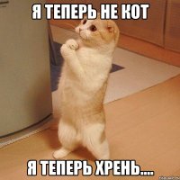 я теперь не кот я теперь хрень....