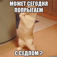 Может сегодня попрыгаем С седлом ?