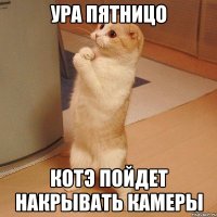 Ура Пятницо Котэ пойдет накрывать камеры