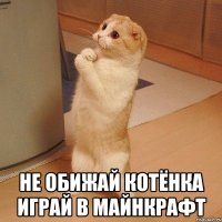  Не обижай котёнка играй в майнкрафт