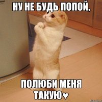 Ну не будь попой, полюби меня такую♥