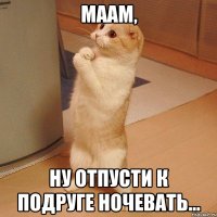 Маам, ну отпусти к подруге ночевать...