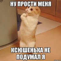 Ну прости меня Ксюшенька не подумал я