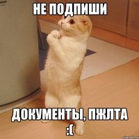 Не подпиши документы, пжлта :(