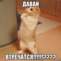 давай втречатся!!!!!!????