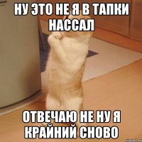 Ну это не я в тапки нассал Отвечаю не ну я крайний сново