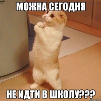 можна сегодня не идти в школу???