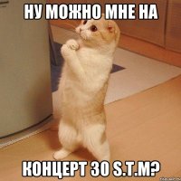 Ну можно мне на концерт 30 S.T.M?