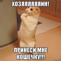 хозяяяяяяин! принеси мне кошечку!!!