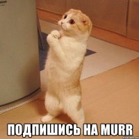  Подпишись на murr