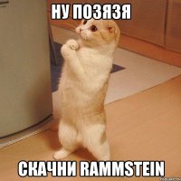 Ну позязя Скачни rammstein