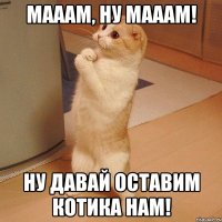 Мааам, ну мааам! Ну давай оставим котика нам!