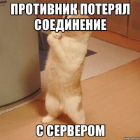 Противник потерял соединение с сервером