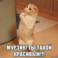  Мурзик! Ты такой красивый!!!