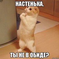 Настенька, Ты не в обиде?