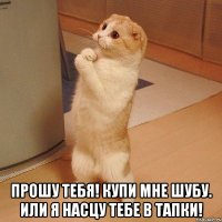  Прошу тебя! Купи мне шубу. Или я насцу тебе в тапки!