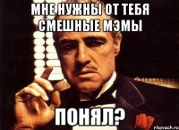 мне нужны от тебя смешные мэмы понял?