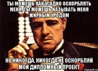 ты можешь как угодно оскорблять меня, ты можешь называть меня жирным уродом но никогда, никогда не оскорбляй мой дипломный проект